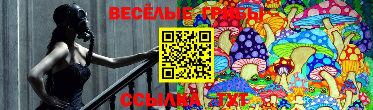 цены   Псилоцибиновые грибы GOLDEN TEACHER  Вход с VPN  Димитровград 